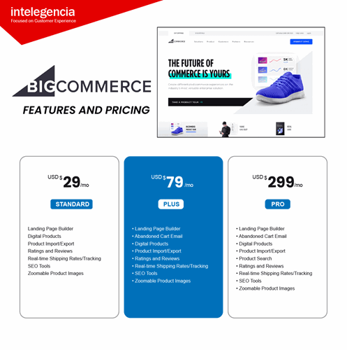 BigCommerce infographics